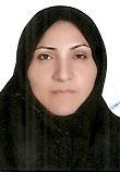 وکیل خدیجه همتی