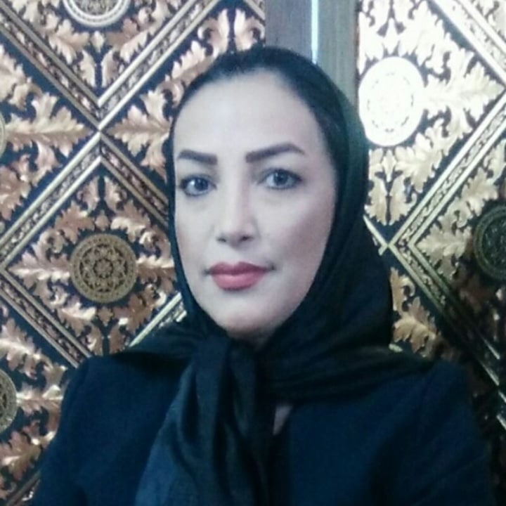 وکیل دادگستری