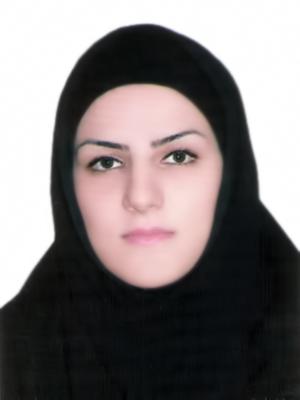 وکیل راحیل عرب عامری