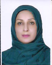 وکیل راضیه حیدری