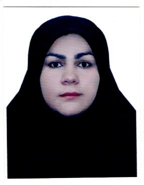 وکیل راضیه رضایی