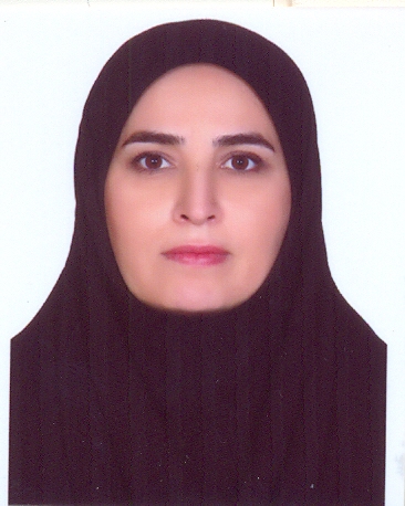 وکیل راهله هادی مقدم