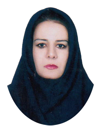 وکیل رقیه بیانی سلطان احمدی