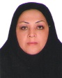 وکیل زینب آریافر