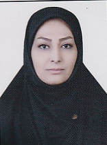 وکیل زینب جزایری