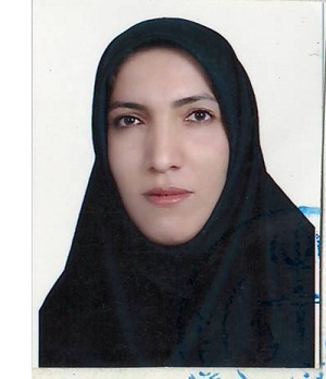 وکیل زینب شاهسون