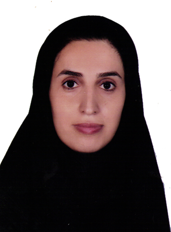 وکیل زینب محمدی دیلمانی