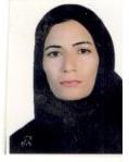وکیل زینب گراوند