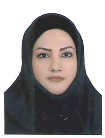وکیل سارنگ میزان پور