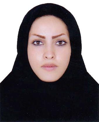 وکیل ساناز صارسعدلو