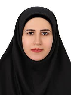 وکیل ستایش میری دیزج