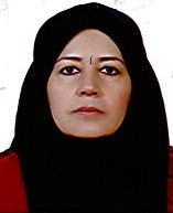 وکیل سرور سعیدلو