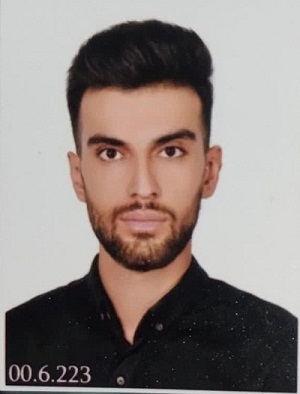 وکیل سعید فیضی