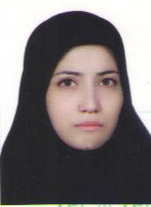 وکیل سعیده السادات حسینی