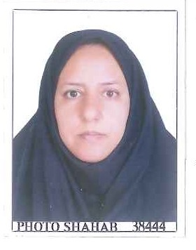 وکیل سلطنت محمدی نسب پا قلعه