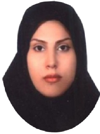 وکیل سمیرا محمدی
