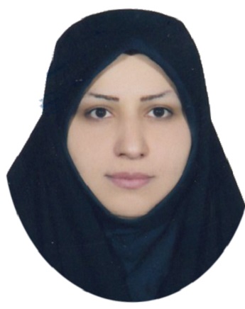 وکیل سمیرا ملک محمدی