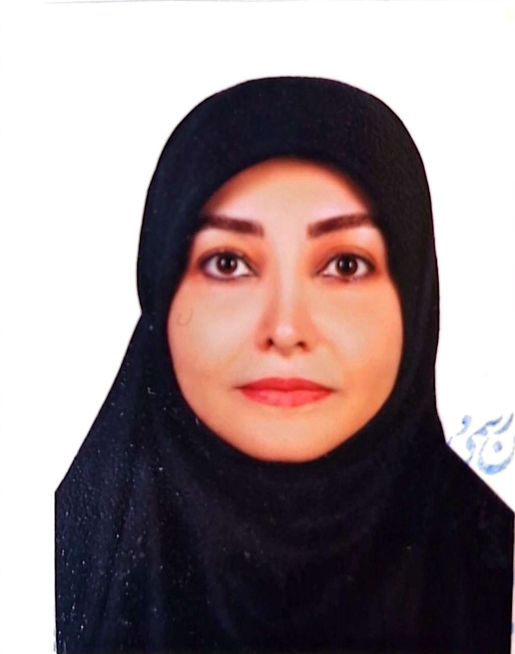 وکیل سمیه احمدی