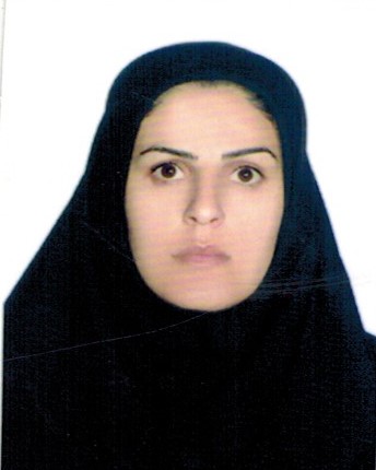 وکیل سمیه حیدری