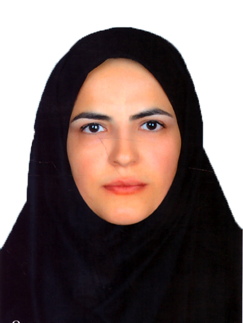وکیل سمیه ذونژند