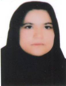 وکیل سمیه نادری دیزج
