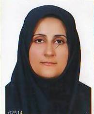 وکیل سمیه نجفی