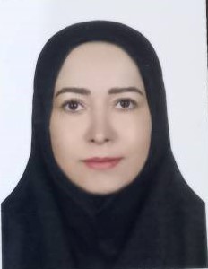 وکیل سمیه هادی پور