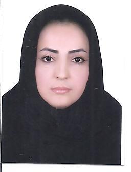 وکیل سنور میکائیلی