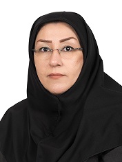 وکیل سهیلا رستمی