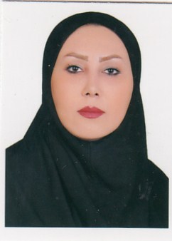 وکیل سهیلا محمدی