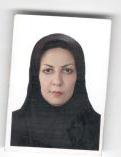 وکیل سهیلا هاشمیان کاخکی