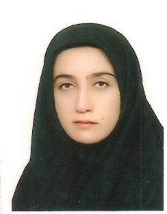 وکیل سودا ملک زاده
