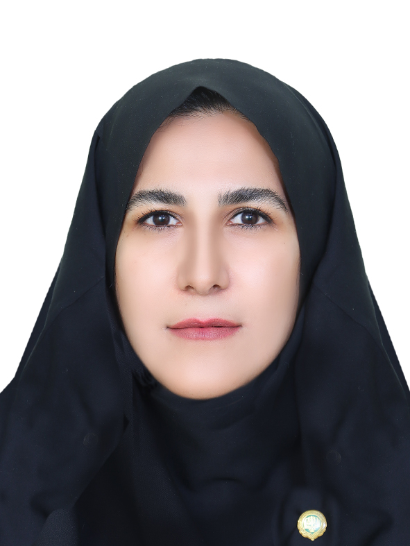 وکیل سوده ابوالهادی