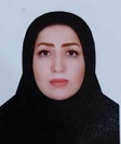 وکیل سولماز آژ