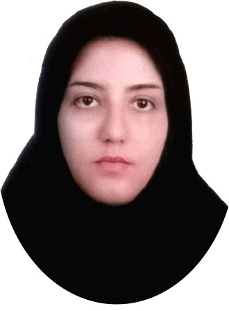 وکیل سولماز نامورافشرد