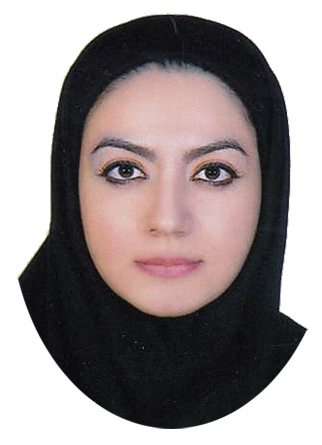 وکیل سونا ابوالحسن بیگی