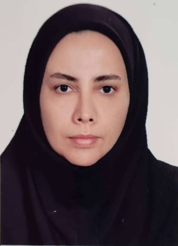 وکیل سکینه احمدی وز متر