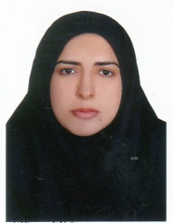 وکیل سکینه حقانی لمراسکی