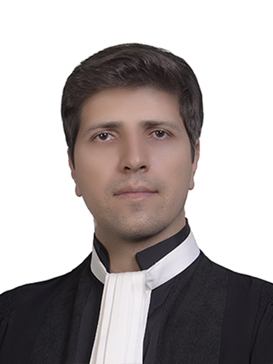 وکیل سید جعفر علوی