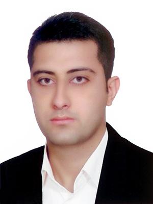 وکیل سید محمد میرصفی