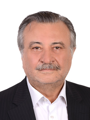 وکیل سید محمد وزیری یگانه