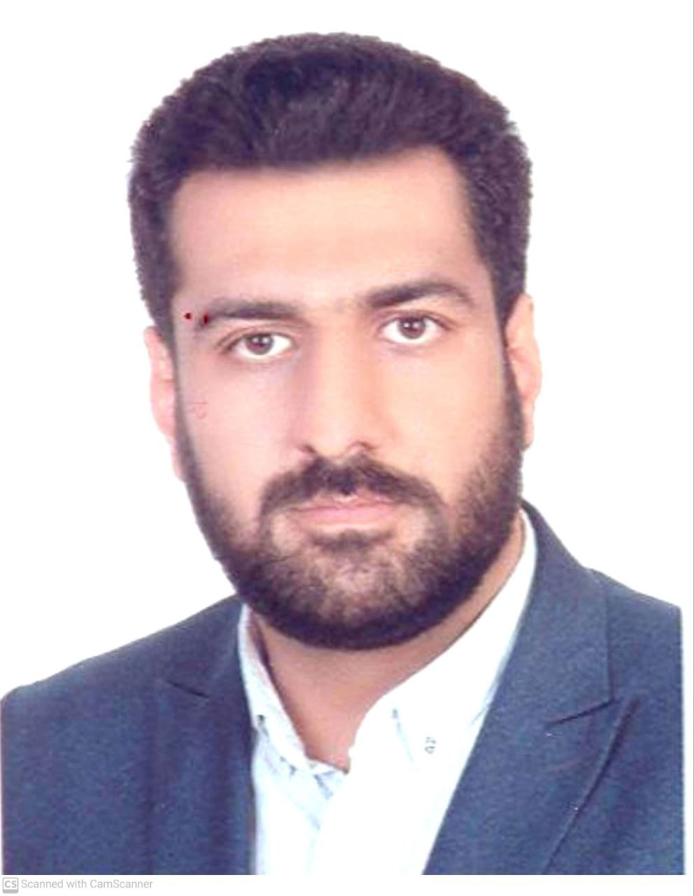 وکیل سیدحسین میرداداشی کاری