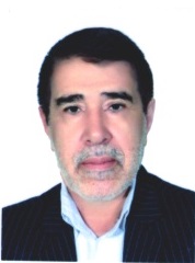 وکیل سیدمحمدرضا محمدی برازجانی