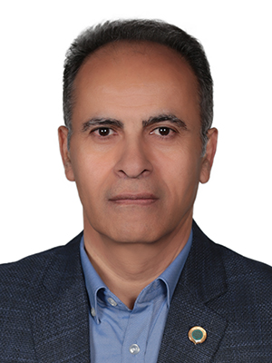 وکیل سیدمحمدمهدی عارف