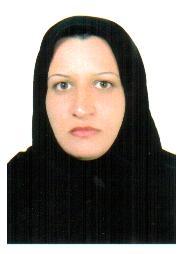 وکیل سیده صدیقه هاشمی