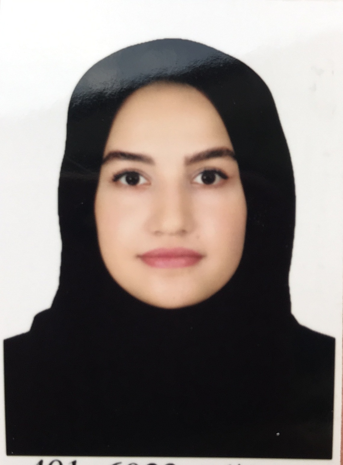 وکیل سیده مینا تقوی نژاددینان