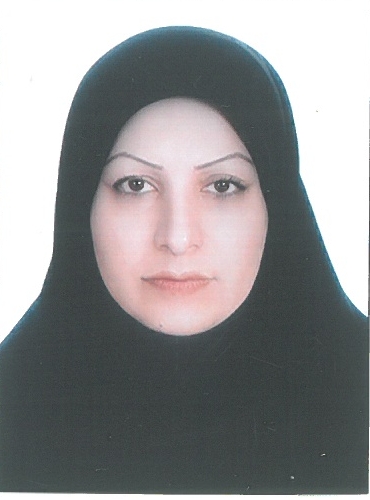 وکیل سیده هاجر منتطری