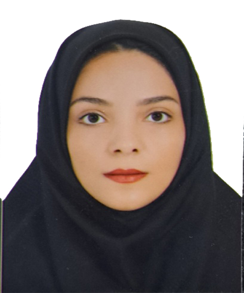 وکیل سیمین رجبی سیرچی
