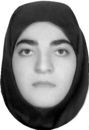 وکیل سیمین صادقی نیچکوهی