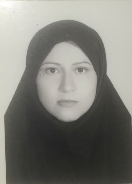 وکیل شادی سلیمی